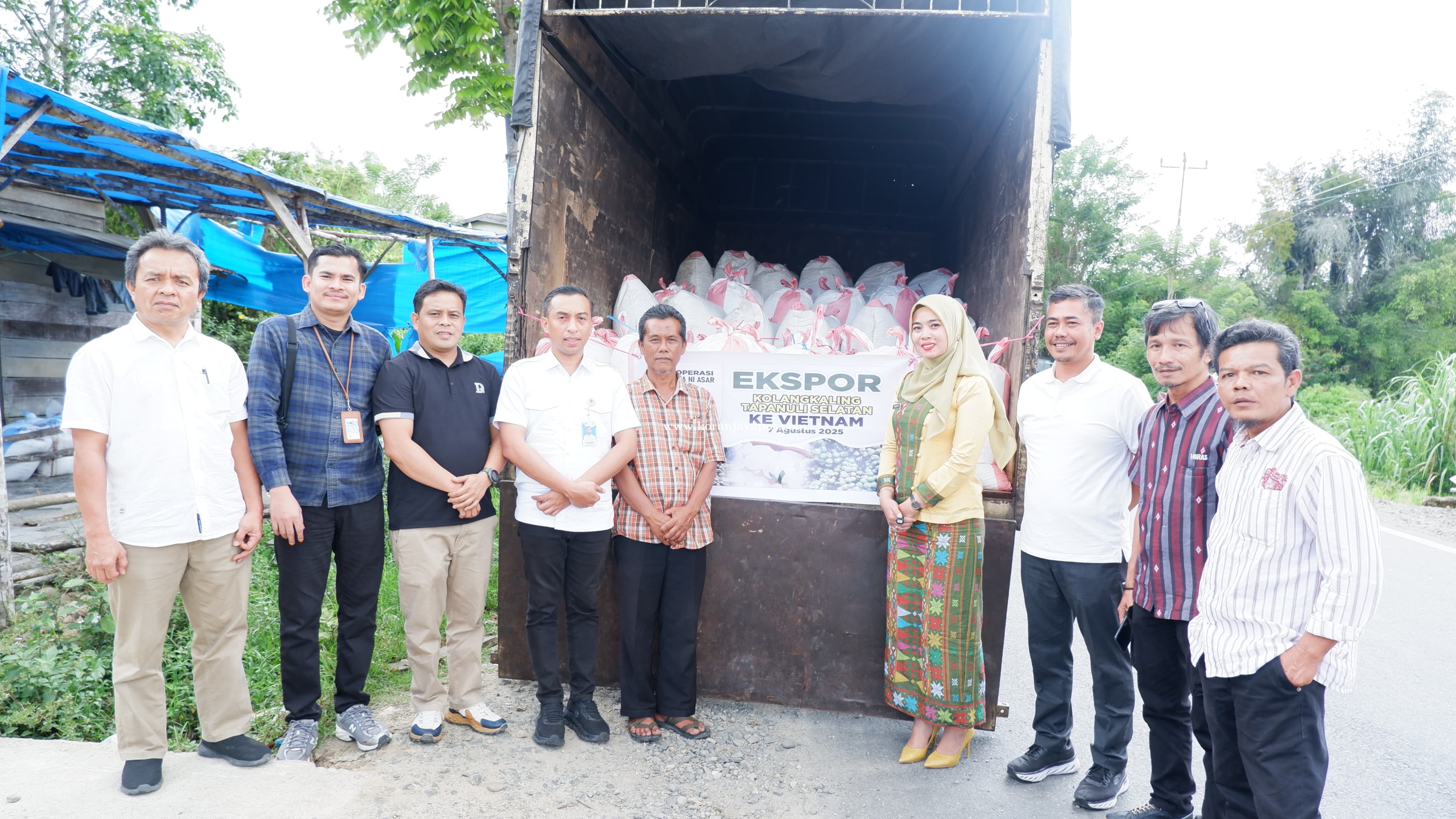 Potensi Kolang-Kaling Tapanuli Selatan Tembus Pasar Asia, Vietnam Jadi Pembeli Setia